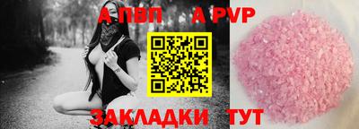крисы Славгород