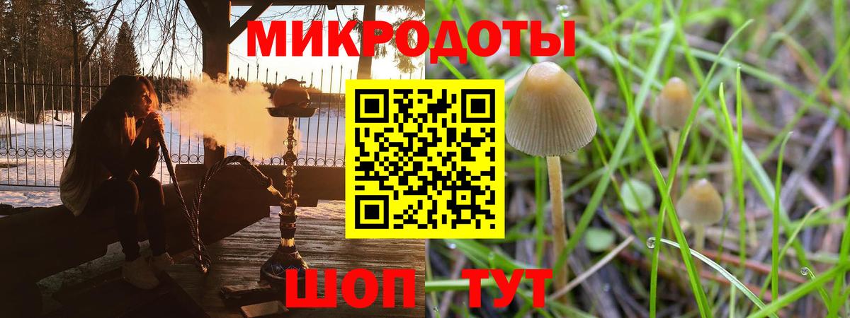 Нягань  как найти закладки  Вход с VPN  Галлюциногенные грибы Cubensis 